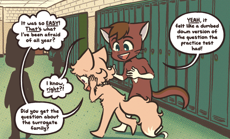 File:Abbey collegematerial.png
