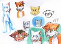 Thumbnail for version as of 06:44, 4 August 2026